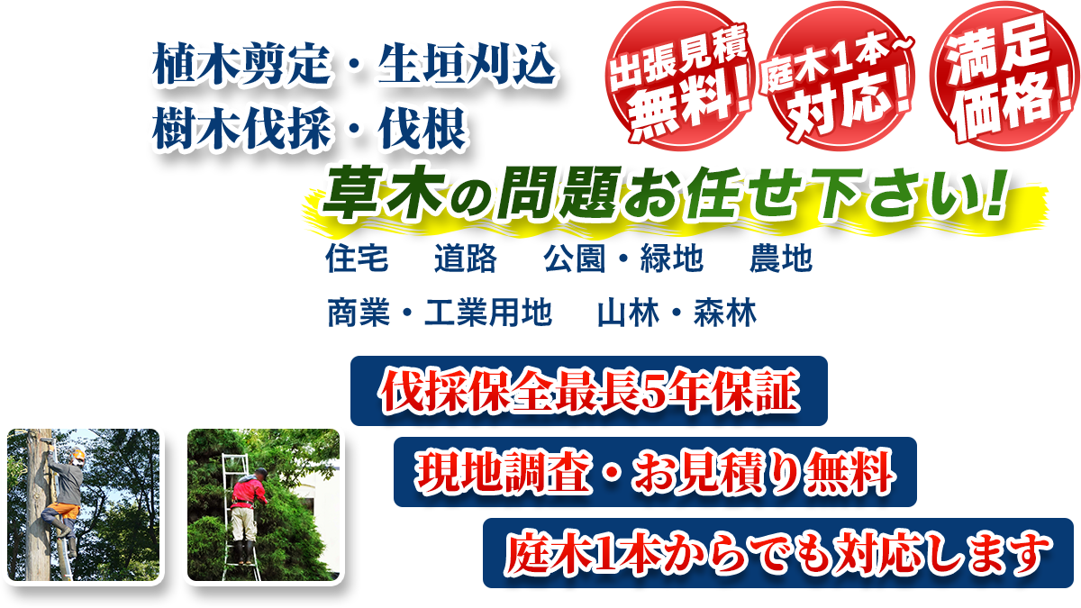 安城市エリア即対応!! 出張無料! 庭木1本~対応! 満足価格! 植木剪定・生垣刈込 樹木伐採・伐根 草木の問題お任せ下さい! 住宅 道路 公園・緑地 農地 商業・工業用他 山林・森林 伐採保全最長5年保証 現地調査・お見積り無料 庭木1本からでも対応します